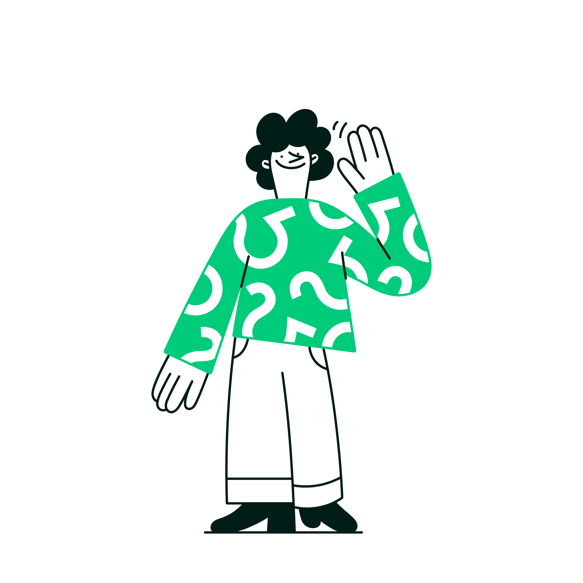 Carecterístiques pla Fibra 300 Mb