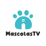 Mascotas – Mascotas TV